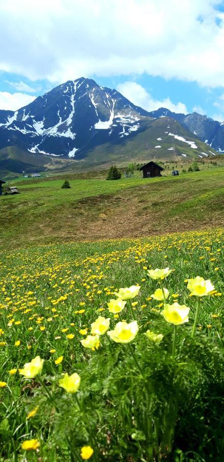 Lacknerhof Oberperfuss Dış mekan fotoğraf