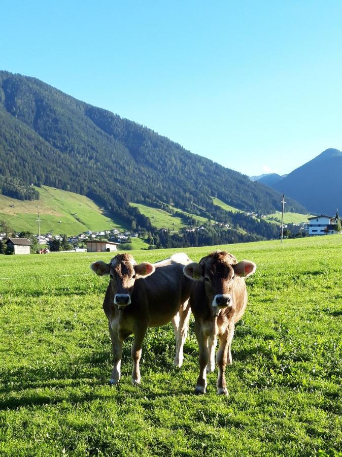 Lacknerhof Oberperfuss Dış mekan fotoğraf