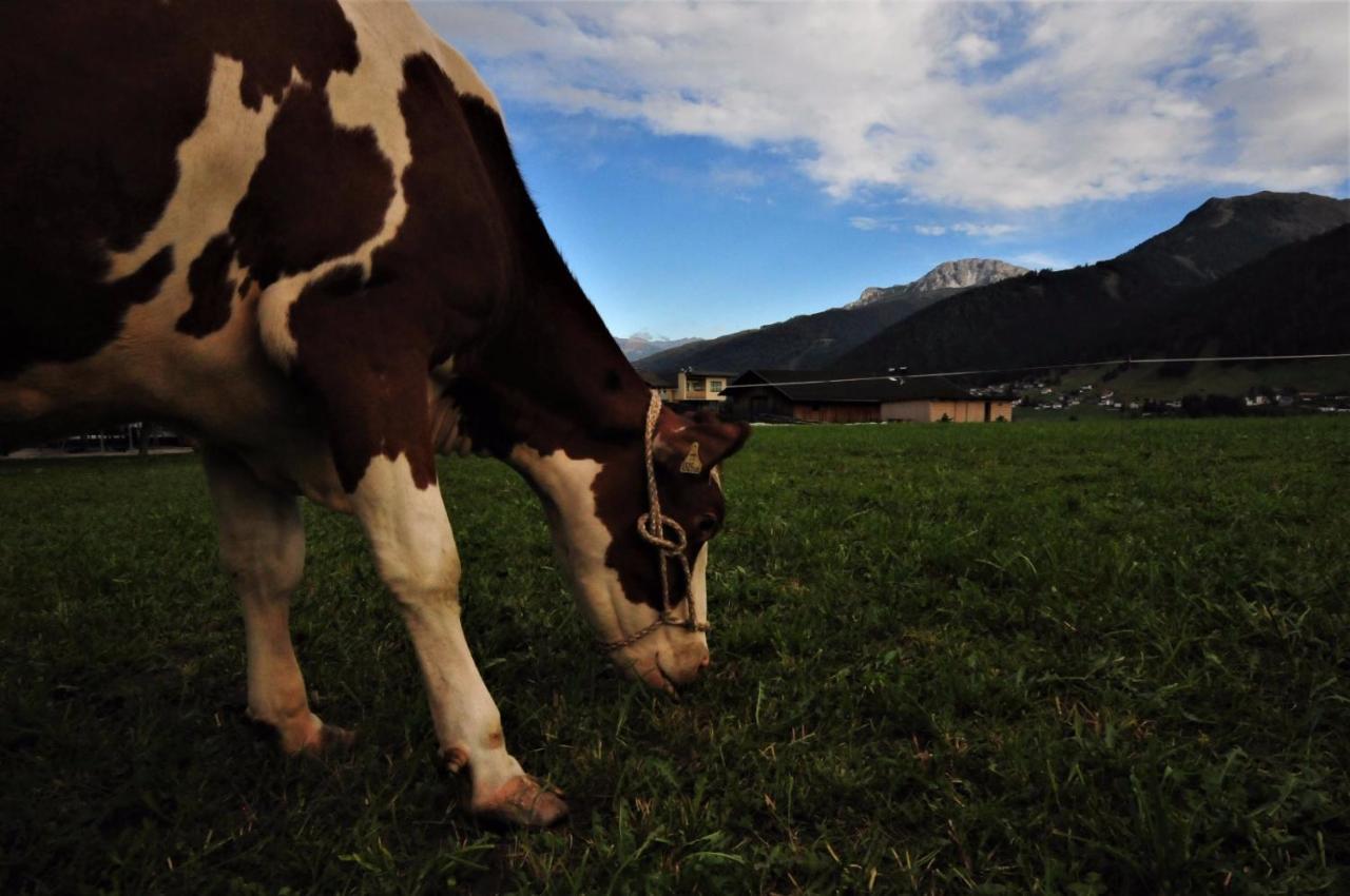 Lacknerhof Oberperfuss Dış mekan fotoğraf